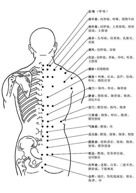 背穴|人体背部穴位图及作用功效